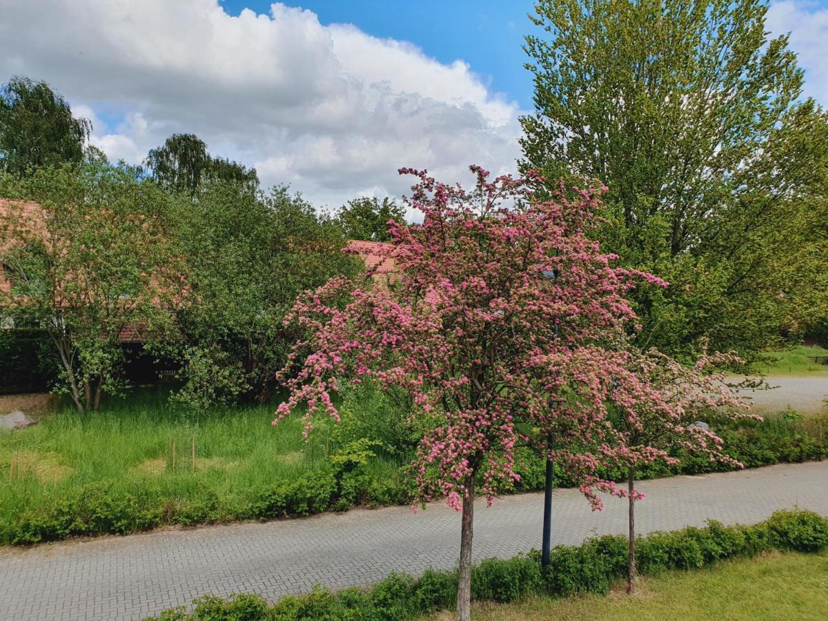 Ferienhaus Hase Burg (Spreewald) Exterior foto