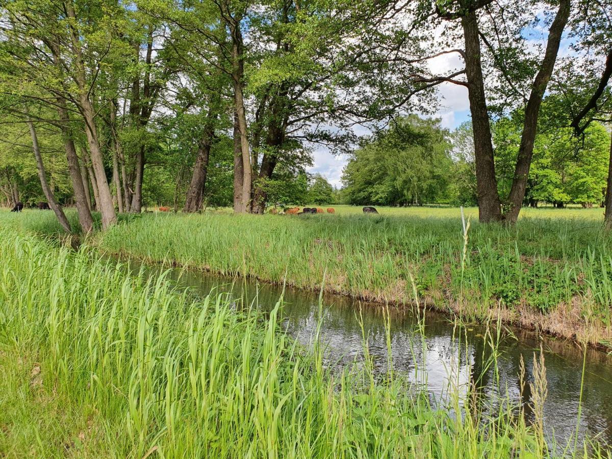 Ferienhaus Hase Burg (Spreewald) Exterior foto